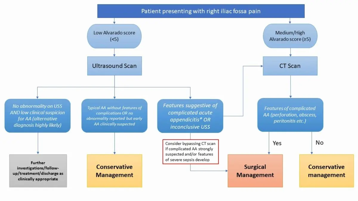 Medical treatments and complementary approaches to appendicitis