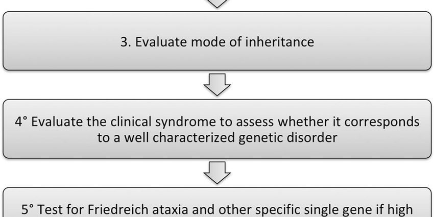 Medical treatments and complementary approaches to ataxia