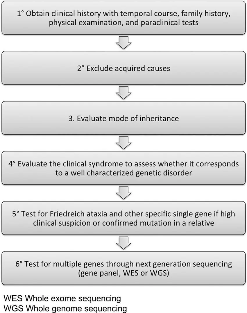 Medical treatments and complementary approaches to ataxia