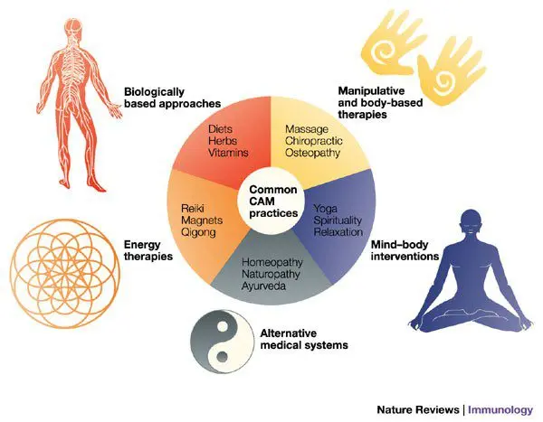 Medical treatments and complementary approaches to vitamin B12 deficiency anemia