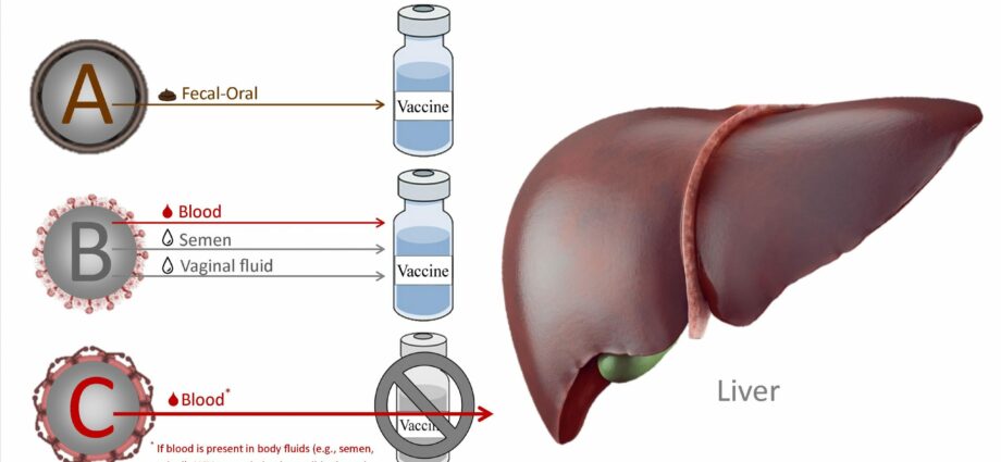 Lääketieteelliset hoidot hepatiitille (A, B, C, myrkyllinen)