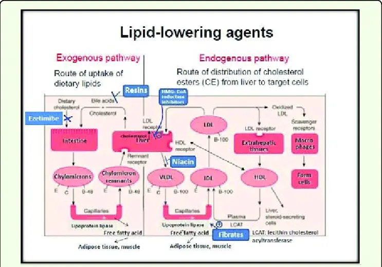 Medical treatments for hyperlipidemia (Cholesterol and triglycerides)