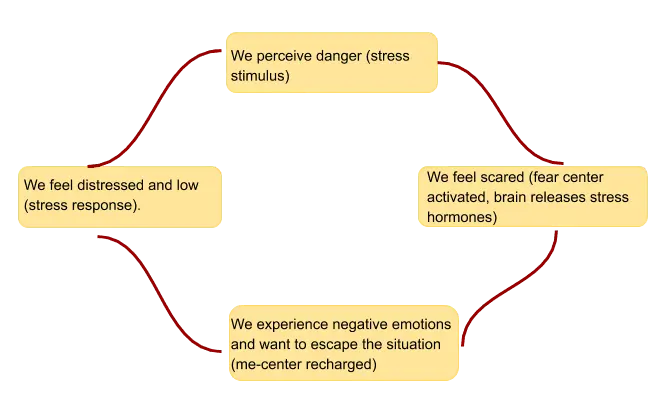 &#8220;Meditation benefits empathy and affective bonds&#8221;