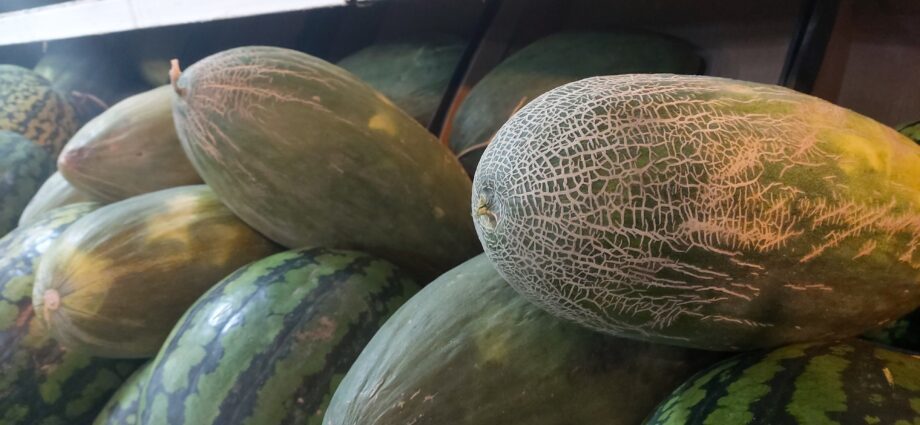 Melon Gulyabi: how to grow