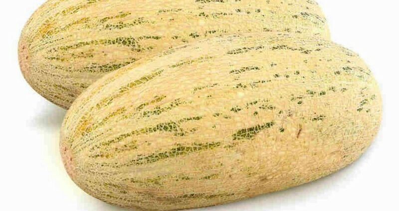 Melon Torpedo: variety