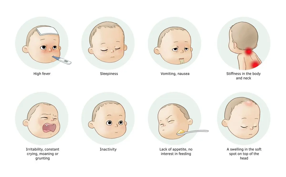 Meningitis &#8211; Sites of interest