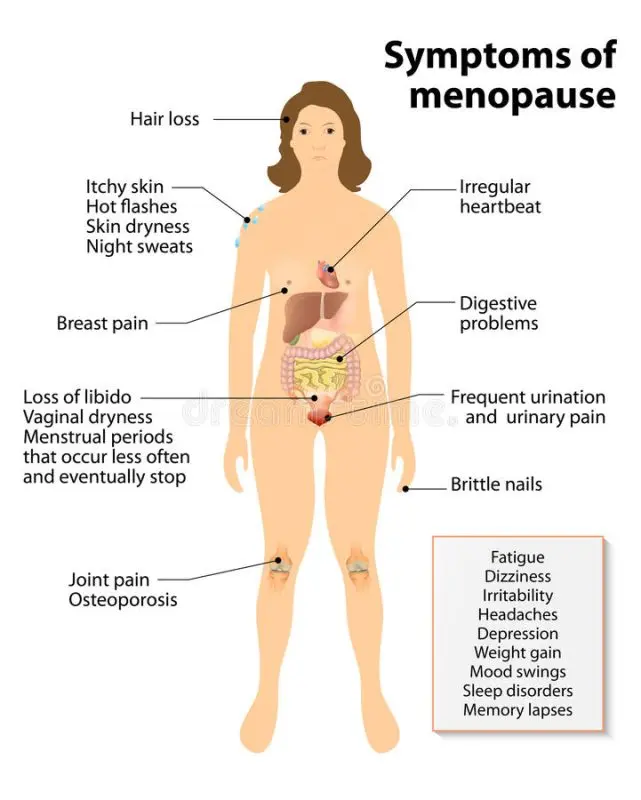 Menopause: how to keep a “young” silhouette?