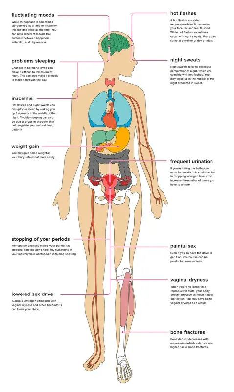 Menopause &#8211; Sites of interest