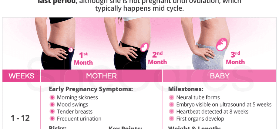 Menstruation in the first trimester of pregnancy. Video