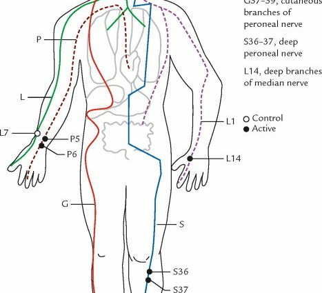 Meridianer an Akupunkturpunkten