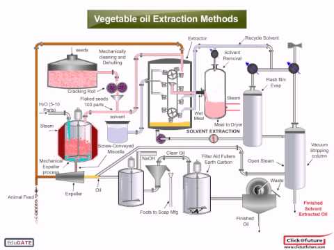 Methods of extracting a vegetable oil