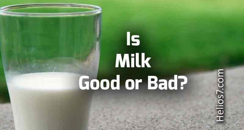 Mjölk: bra eller dåligt för din hälsa? Intervju med Jean-Michel Lecerf