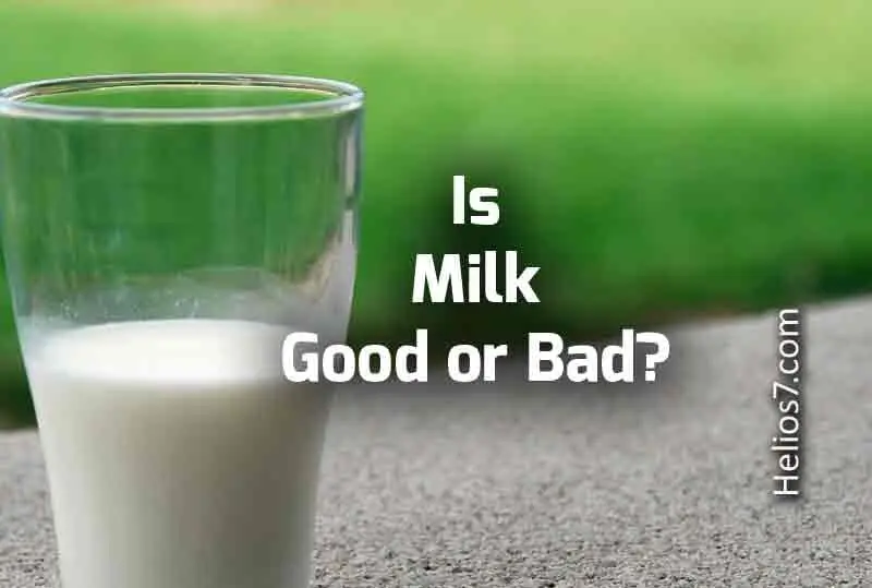 Milk: good or bad for your health? Interview with Jean-Michel Lecerf