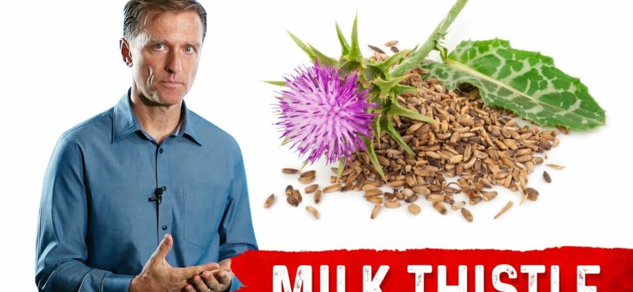 Milk thistle for weight loss. Video