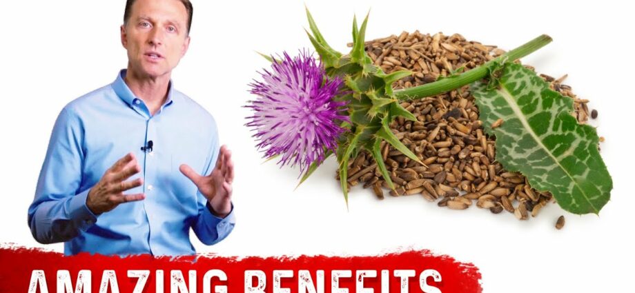 Milk thistle oil for weight loss. Video