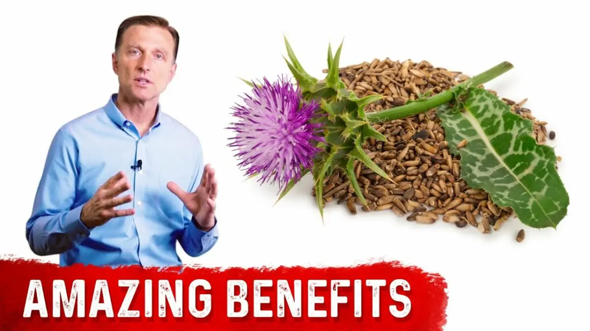 Milk thistle oil for weight loss. Video