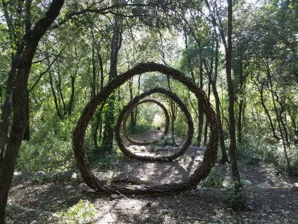 Miracle forest in France