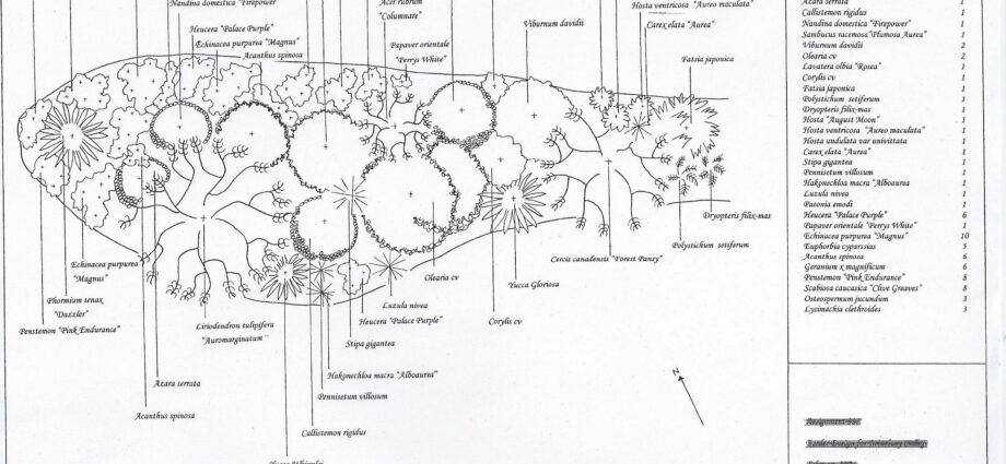 Mixborder: a scheme of shrubs