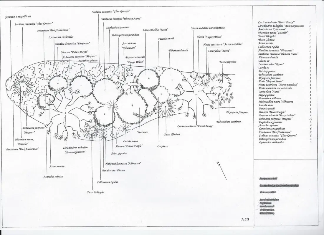 Mixborder: a scheme of shrubs