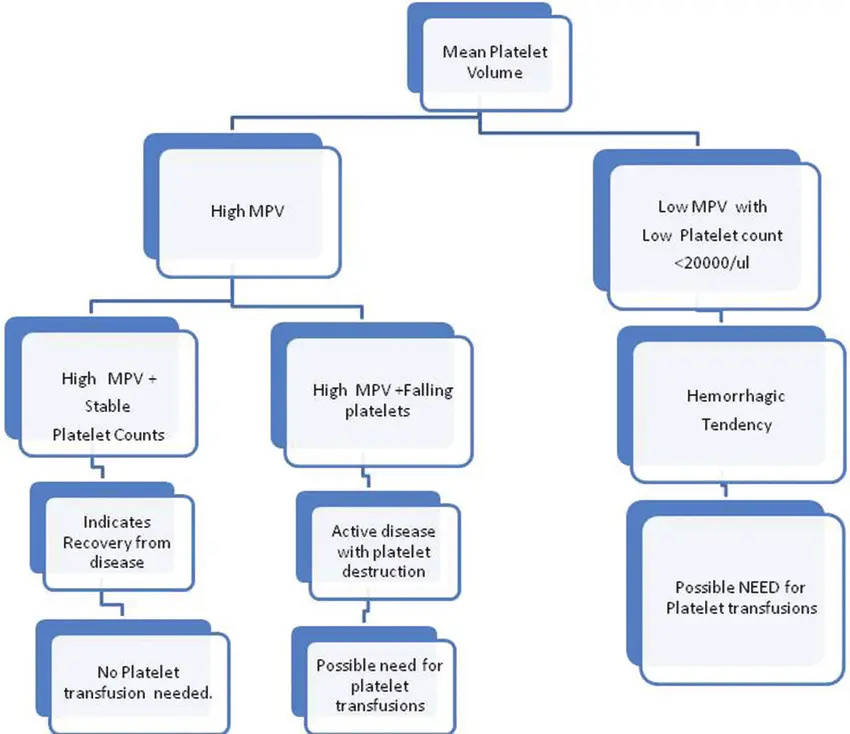 MPV: high or low, mean platelet volume analysis