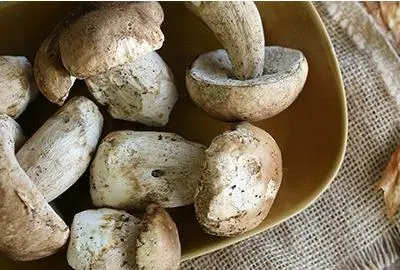 Mushroom caviar from dried mushrooms: autumn treats all year round. Video