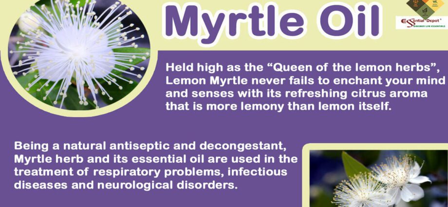 Myrtle: medicinal properties: Video