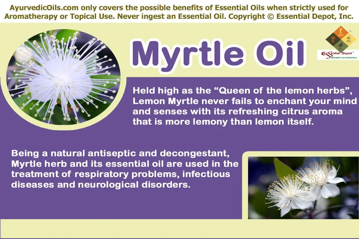 Myrtle: medicinal properties: Video