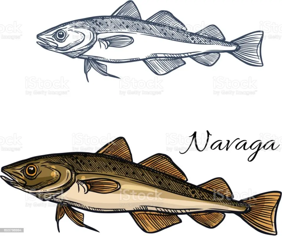 Navaga: fish recipes with video