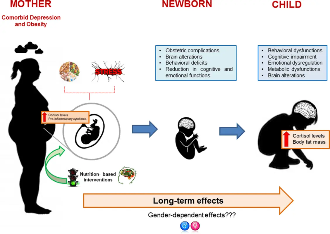 Nervous pregnancy, the consequences of nervous breakdowns during pregnancy