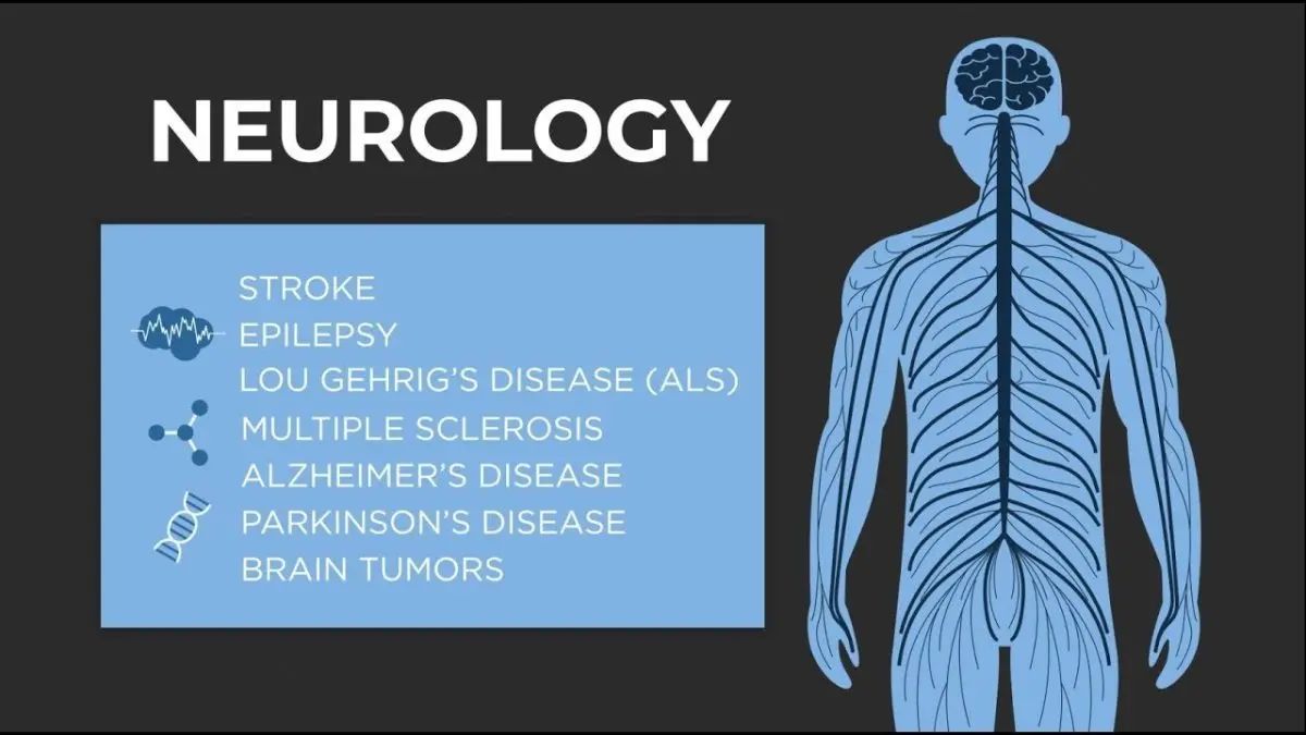 Neurology