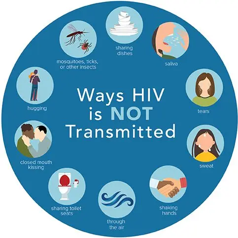 New AIDS virus: transmitted by saliva