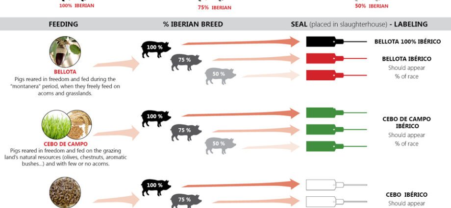 New quality standard for Iberians.