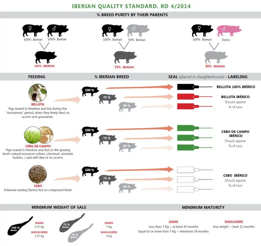 New quality standard for Iberians.