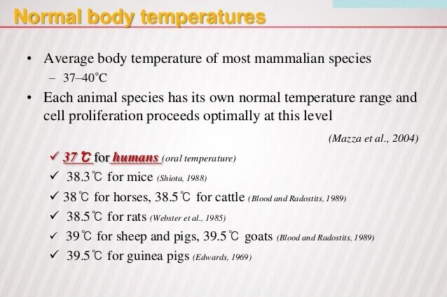 Normal body temperature during pregnancy