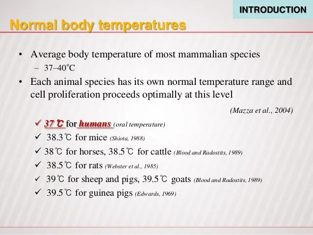 Normal body temperature during pregnancy