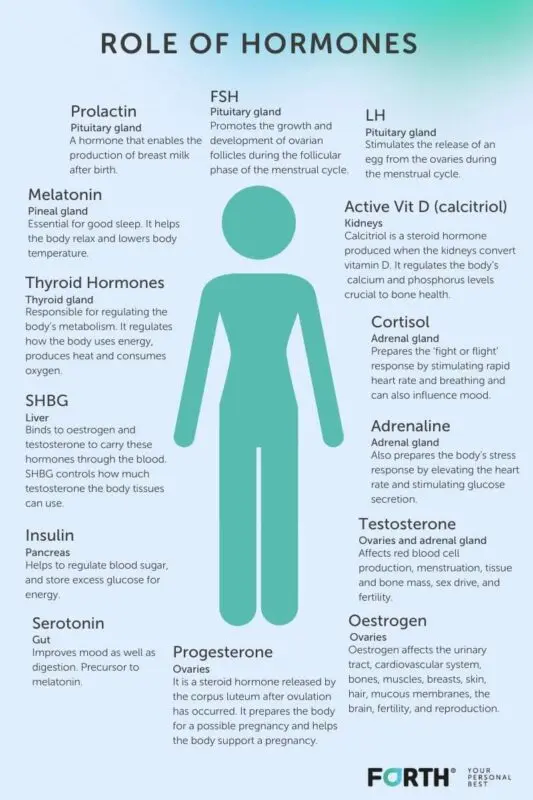 Norms of hormones in women: what you need to know