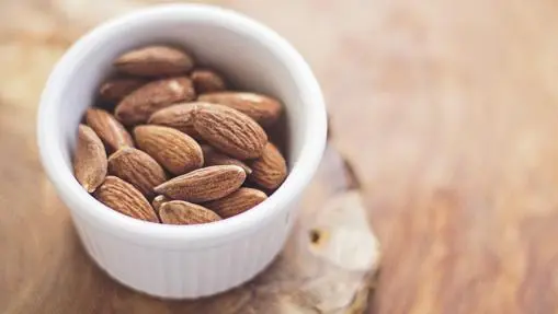 Nuts: their benefits, how to take them, where to enjoy them and why