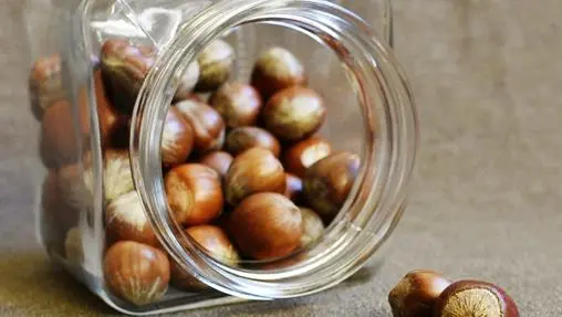 Nuts: their benefits, how to take them, where to enjoy them and why