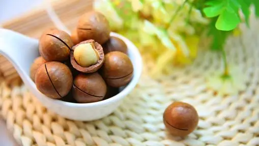 Nuts: their benefits, how to take them, where to enjoy them and why