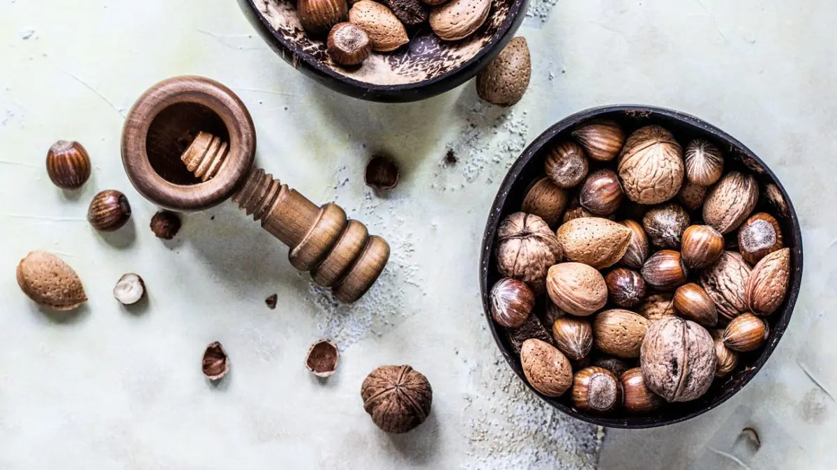 Nuts: their benefits, how to take them, where to enjoy them and why