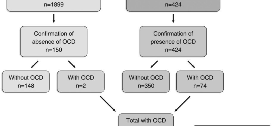 強迫症 (OCD) – 感興趣的部位