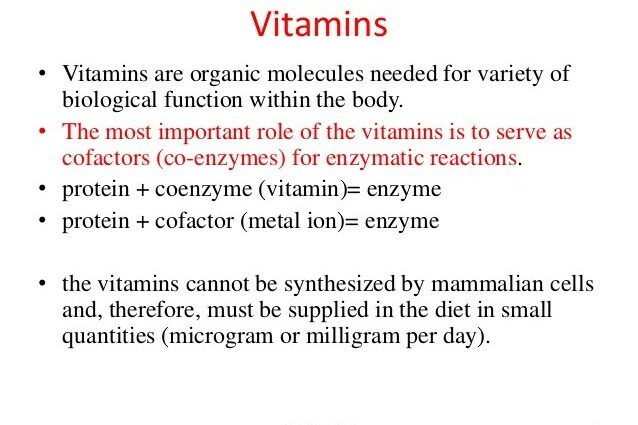 On the role of vitamins in the diet