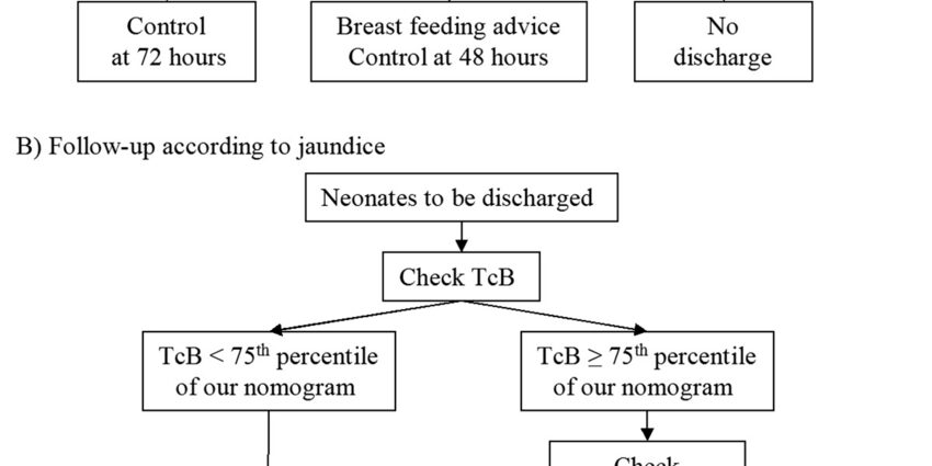 On what day is discharged from the hospital, after a cesarean section, with jaundice