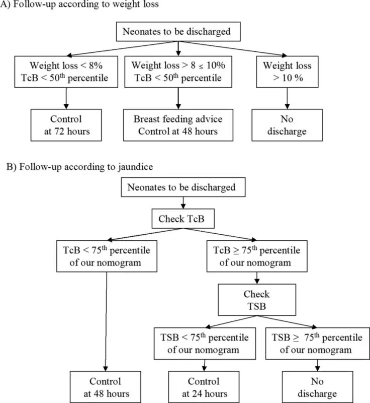 On what day is discharged from the hospital, after a cesarean section, with jaundice