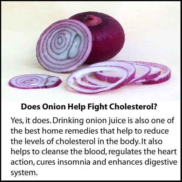 Onion and its cholesterol-lowering action
