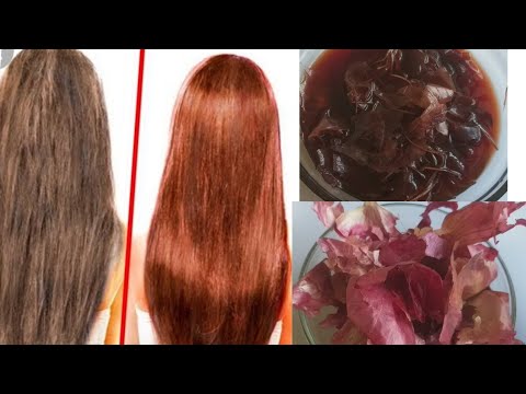 Zwiebelschalen zur Haarbehandlung und Färbung. Video