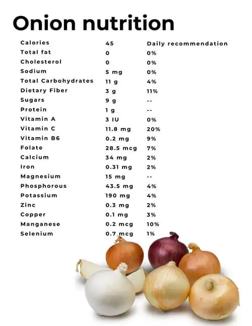 Onions benefits and harms to the body, nutritional value