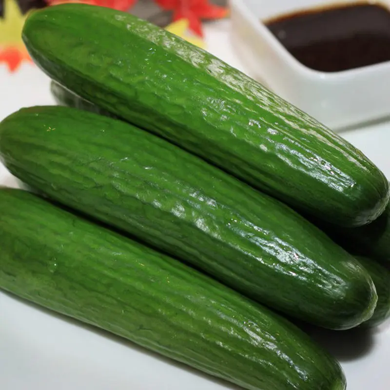 Open field cucumber hybrid