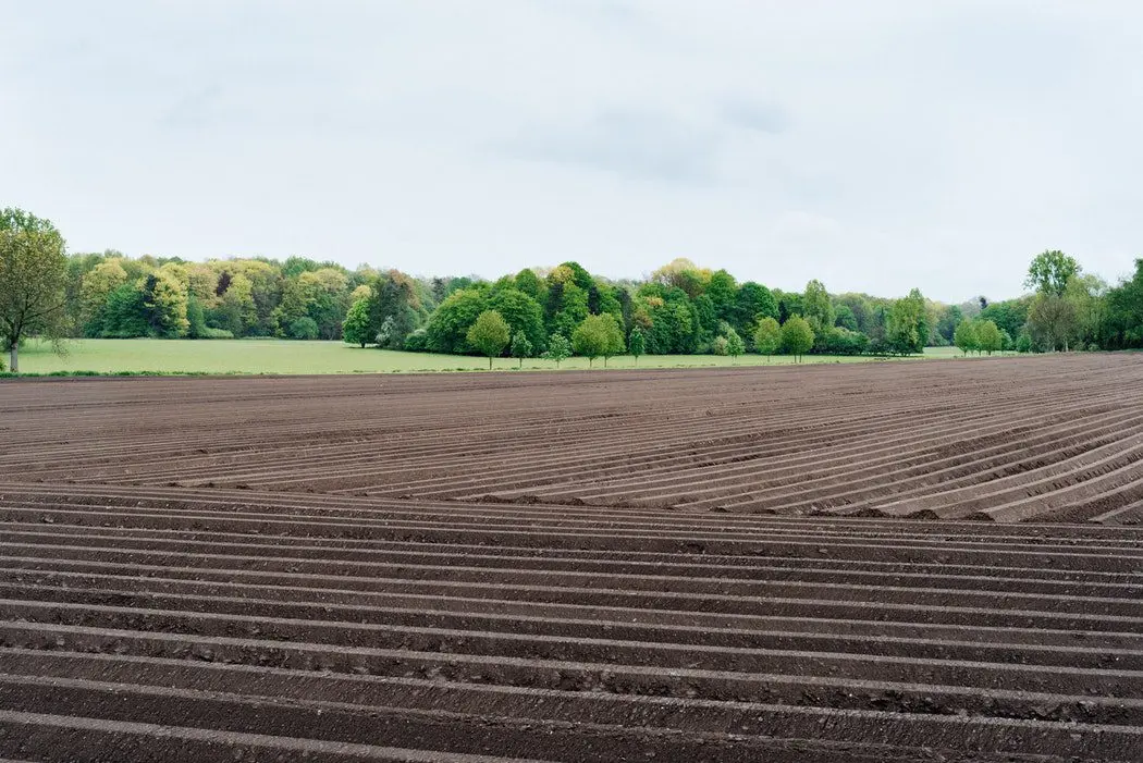 Our soil is dying. FoodTech wants to save you