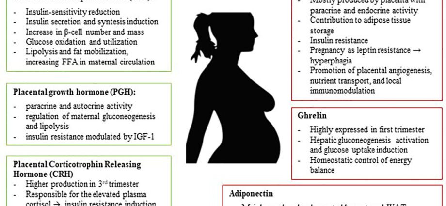 Overweight during pregnancy, complications, hormones in obesity